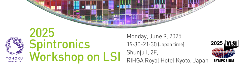 2025 Spintronics Workshop on LSI