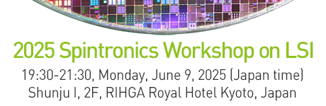 2025 Spintronics Workshop on LSI